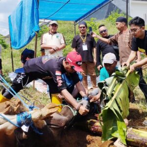 Ferrytass, Dt. Toembidjo Hadiri Penyembelihan Qurban IKM Sapayuang 1447 H, Tebarkan Semangat Persaudaraan dan Cahaya Keikhlasan di Tanah Rantau